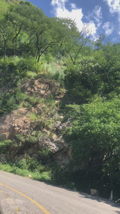 Patines En Línea Urbanos Y Freno Ir Forza 2.0